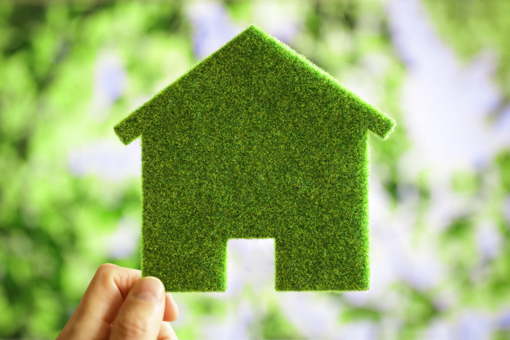 medio ambiente, eco house verde
